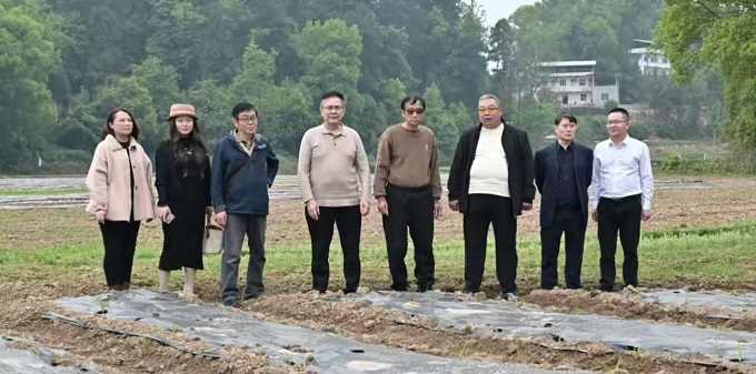 “科技赋能”专家团队精准助农促乡村振兴