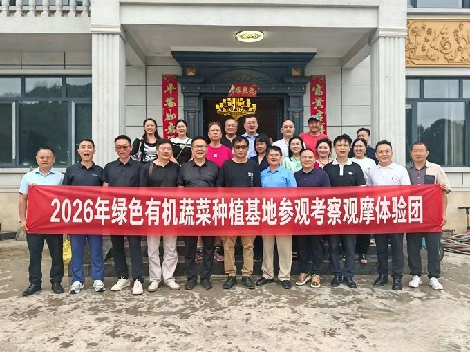 深耕绿色有机农业 共探品质发展之路—各界专家组团考察巴南区东温泉镇绿色有机蔬菜种植基地