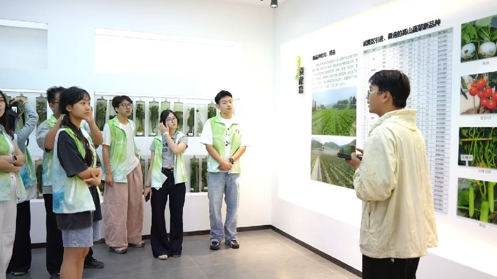 法润乡野赋能振兴 专业实践守护乡土民生 ——西南政法大学实践团赴武隆开展法治助乡实践